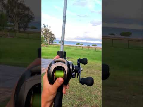 Casting a $20 Temu fishing reel vs a $550 Shimano Calcutta #fishing #australia #temu