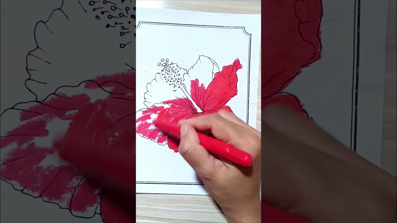 mewarnai bunga sepatu#mewarnaianaktk #mewarnai #bunga #drawing #painting