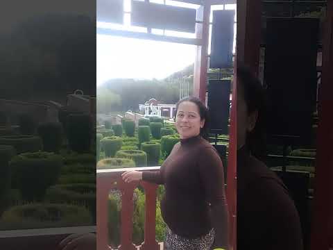 Los cocos Córdoba 