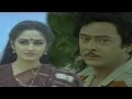 Parimalinchu  Video Song || Puli Bebbuli Movie || Krishnam Raju,Chiranjeevi,jayapradha,Radhika