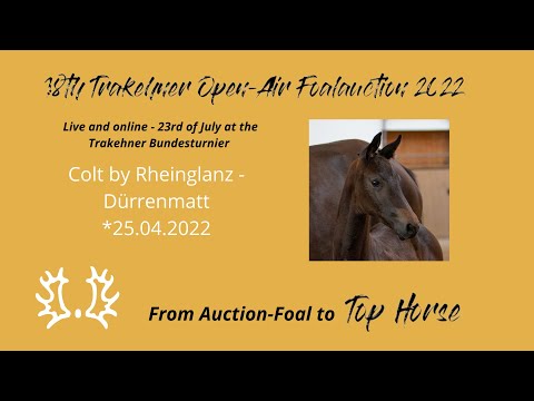 15 - Griezmann - Colt by Rheinglanz - Dürrenmatt *25.04.2022