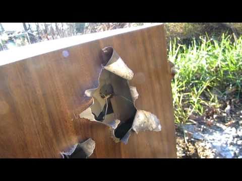 Shooting a microwave with 12 gauge hollow point slugs