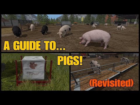 download lagu mp3 mp4 Fs17 Pig Food, download lagu Fs17 Pig Food gratis, unduh video klip Fs17 Pig Food