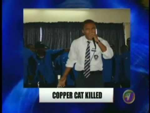 COPPER CAT SHOT DEAD!(21 JAN 2011)