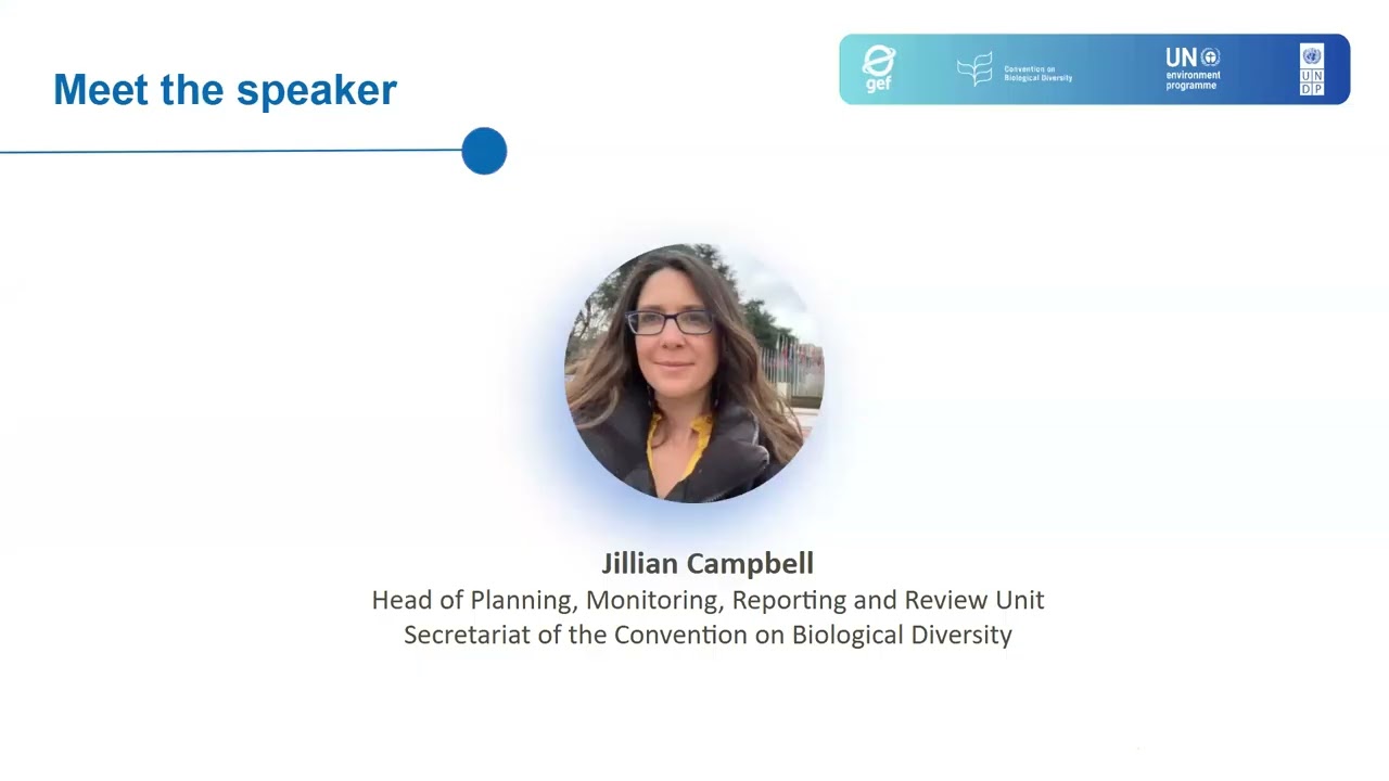 Webinar: Commitments from actors other than national Governments towards the KMGBF