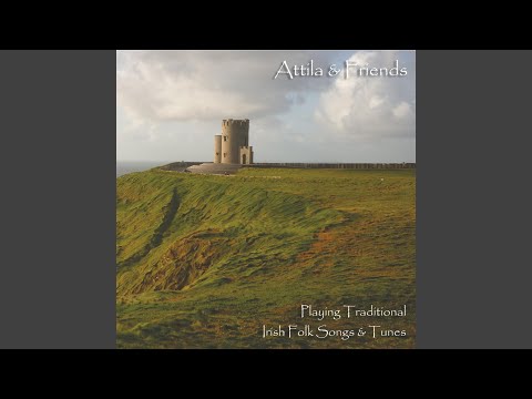 Reel Medley, No. 1: The Tarbolton / The Sally Gardens / Sleepy Maggie