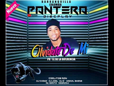 Olvidate de mi Pr en la casa alo pantera discplay