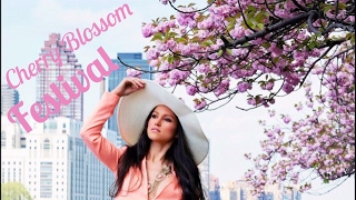 Live at the Cherry Blossom Festival in NYC - Sakura Matsuri 2017 - Brooklyn Botanic Garden