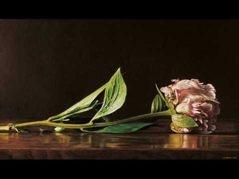 Antonio Vivaldi: Laudate pueri [psalm 112] in G major (RV 601) - Part IV G. Bertagnolli