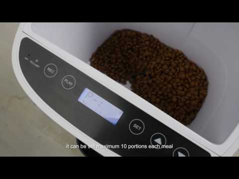 petwant smart feeder