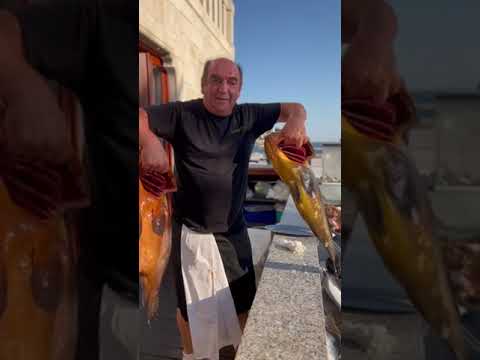 Legedarni Mijo "Koji je ovo materijol" Gariful Hvar