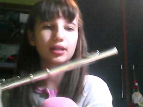 Flauto traverso pezzo star of the country down