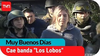 Cae la banda de &quot;Los Lobos&quot;: Peligrosos narcotraficantes | Muy buenos días