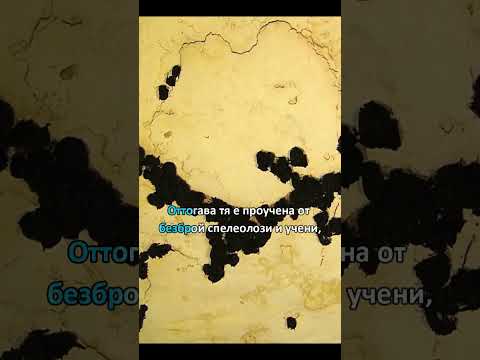 Знаете ли, че най-дългата пещера в света е Мамутова пещера?