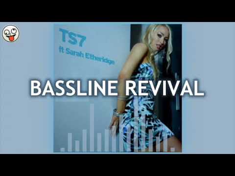 TS7 ft. Sarah Etheridge - All I Wanna Do / BASSLINE 4x4 NICHE HOUSE / Bassline Revival