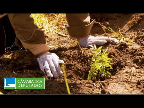 Câmara homenageia Dia da Terra - 23/04/24