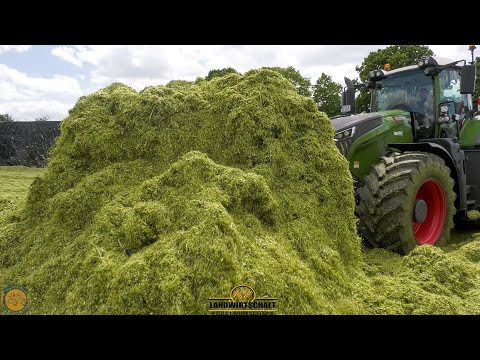 517PS Fendt 1050 Schiebt XXL Haufen aus dem Weg in Silo! GPS Silage Roggen für Biogasanlage Silieren