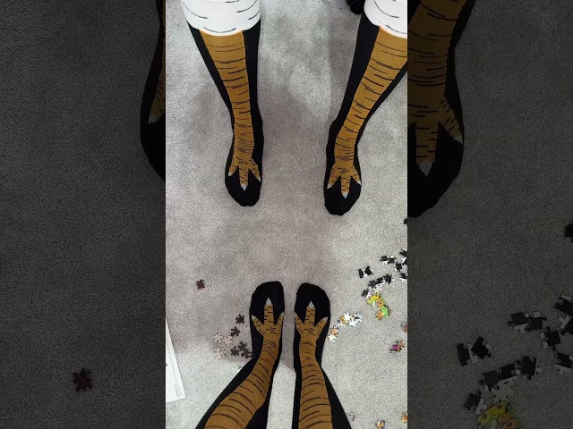 Vídeo relacionado con Giantree Calcetines divertidos de pollo para adultos, calcetines divertidos para mujer, calcetines de pollo para pantorrilla, calcetines divertidos, talla única para mujer, hombre, niños, carnaval