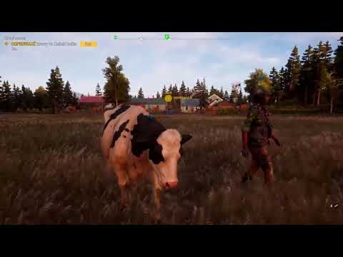 SargeThePlayer i krowa (nie spodziewałem się tych słów na końcu)🤣