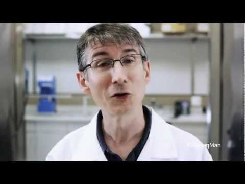 How to Normalize cDNA Concentrations -- Ask TaqMan® Ep. 15