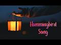 Hummingbird