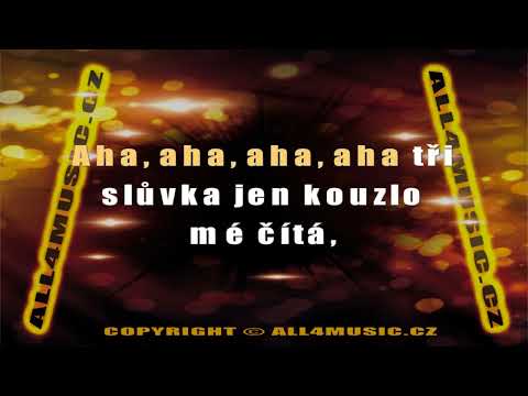 KJ1180 SCHELINGER JIŘÍ-Simsala bim (Karaoke verze)