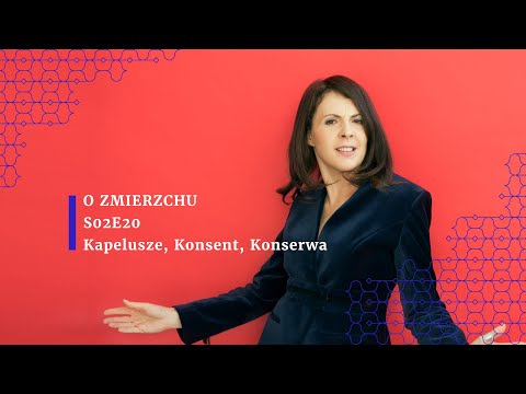 O Zmierzchu S02e20 - Kapelusze, Konsent, Konserwa