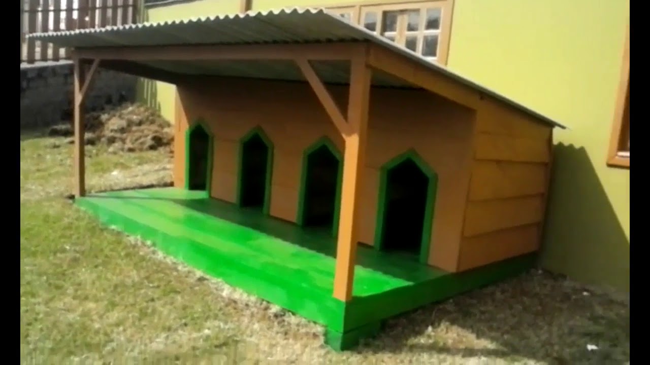 canil de madeira e cerca - simple wooden kennel and fence !!!