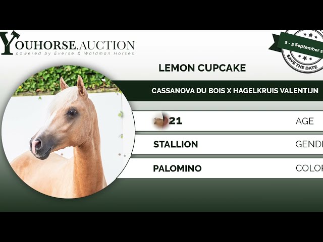Lemon Cupcake