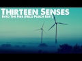 Thirteen Senses - Into The Fire (Nico Pusch Edit ...
