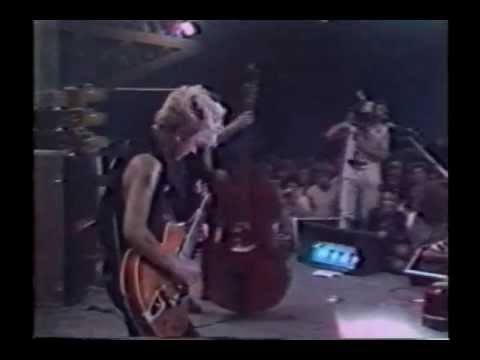 download lagu mp3 mp4 Stray Cats Drink That Bottle Down, download lagu Stray Cats Drink That Bottle Down gratis, unduh video klip Stray Cats Drink That Bottle Down
