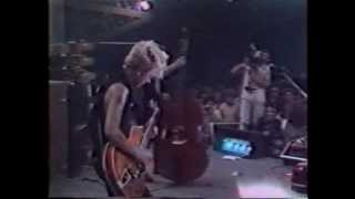 The Stray Cats - &quot;Drink that bottle down&quot; (Live 1981)