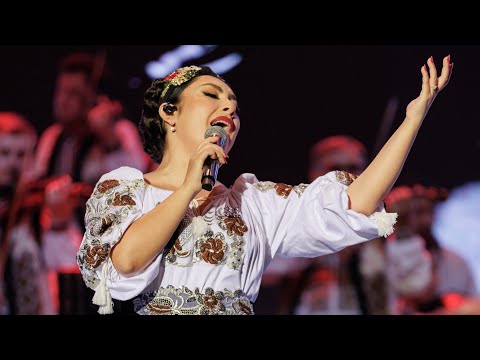 Andra - Au Pornit Olteni La Coasa (Live in TRADITIONAL 2 la Sala Palatului)