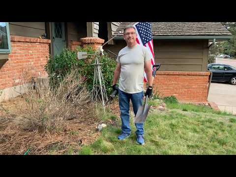 How to remove a bush and stump with a reciprocating saw (saws-all)