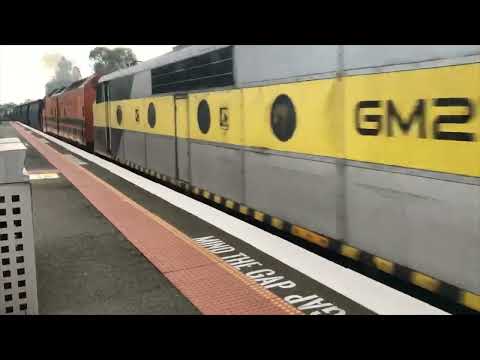 SSR Grain train with RL306 S311 GM27 CLF2