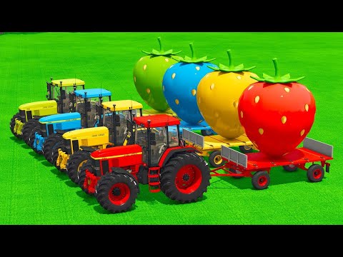 LOAD AND TRANSPORT GIANT STRAWBERRY WITH JOHN DEERE TRACTORS & FORKLIFTS - Farming Simulator 25
