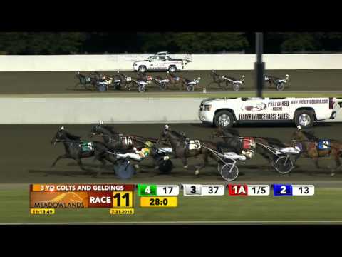 Meadowlands July 31, 2015 - Race 11 - French Laundry