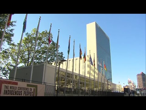 N.Y.P.D. & U. N. Security