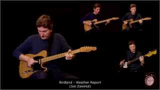 Birdland Weather Report ( Guitar Cover - Mini Version )