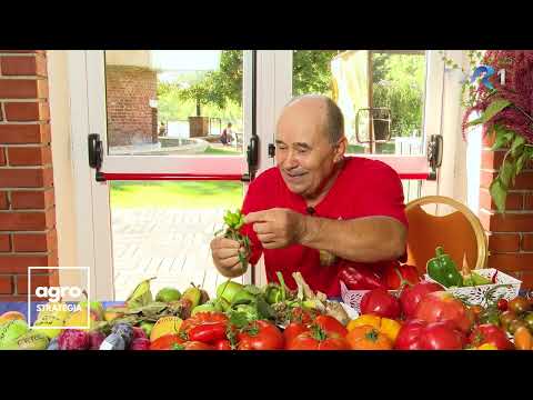 În Grădina Danei. Semințe cu suflet - păstrarea soiurilor românești