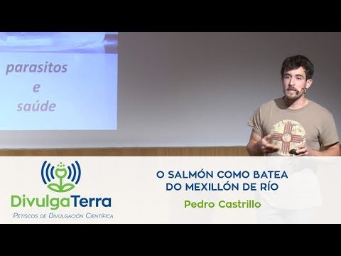 Vídeo: O salmón como batea do mexillón de río