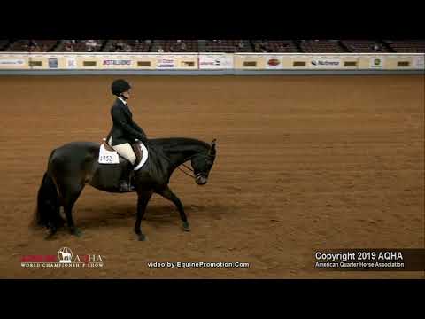 FORREST GREEN shown by JESSIE J GODIN  2019 AQHA World Show Am  Hunt Seat Equitation, Pattern FINAL
