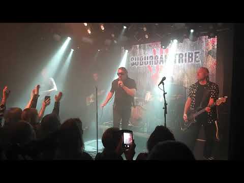 Suburban tribe On The Rocks 17.6.2023