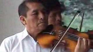 GORRION PAROBAMBINO - Triste Suspiro