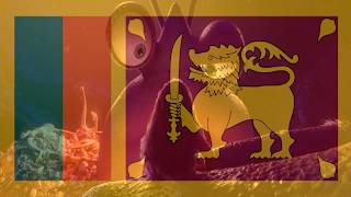 Moana - Tamatoa's Lair (Sinhala)