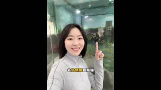 上海出发2小时 假期出逃人间值得的酒店\📍安吉JW万豪酒店 \#攻略合伙人 #旅行大玩家 #我的城市玩乐攻略 #保持热爱奔赴山海 #周末去哪玩