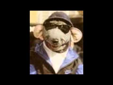 Avicii vs Sak noel Levels loca