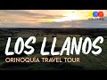 BEST of the Colombian Llanos – 1080 FULL HD Llanos Travel Tour