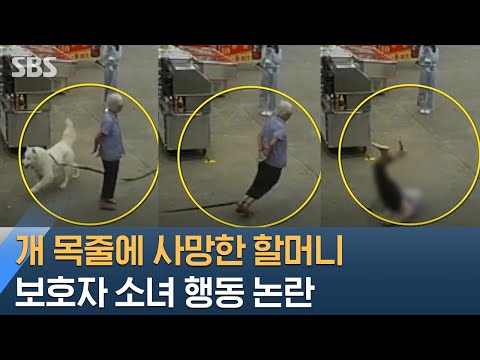 아이콘