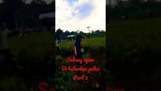Download lagu Sabung ayam di bubarkan polisi part 2 mp3